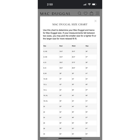 Mac Duggal Floral Embroidered Tulle Gown Size 6 Light Blue Dress Maxi Mesh - Picture 11 of 11